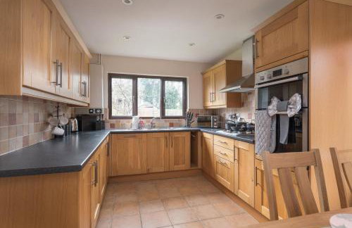 Large 5BR Home - Ideal for Contractors - Parking Available - Photo 17