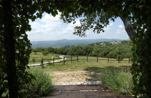 Scappo in Umbria, Le Salce - Foto 8