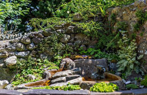 2 Bed in Caernarfon oc-56989 - Foto 21