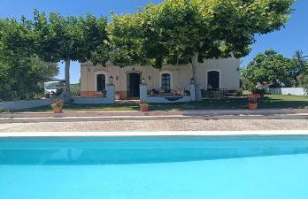 Finca Olivo Llorón - Foto 13