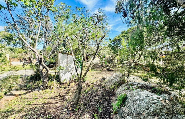 Domo De Chessa - Foto 31