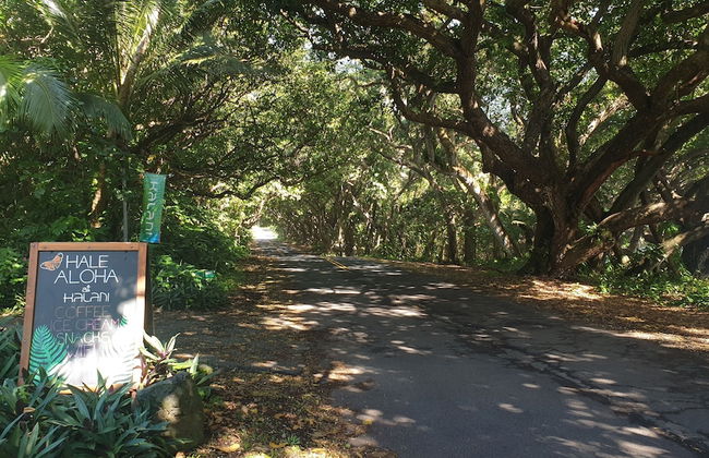 Kalani Oceanside Retreat - Foto 1