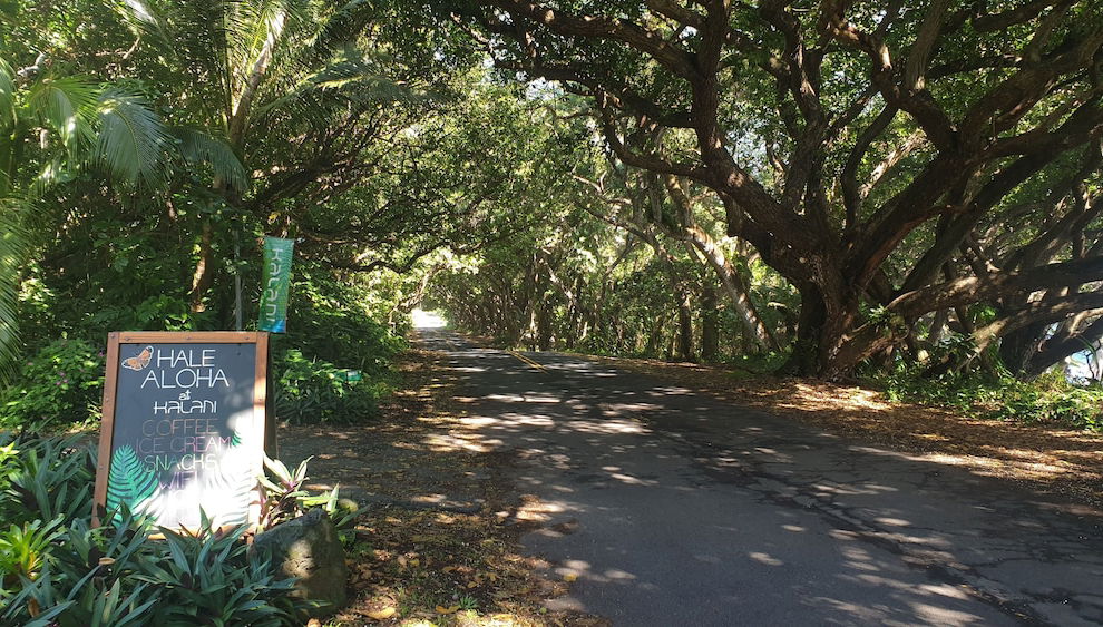 Check-in e check-out automático