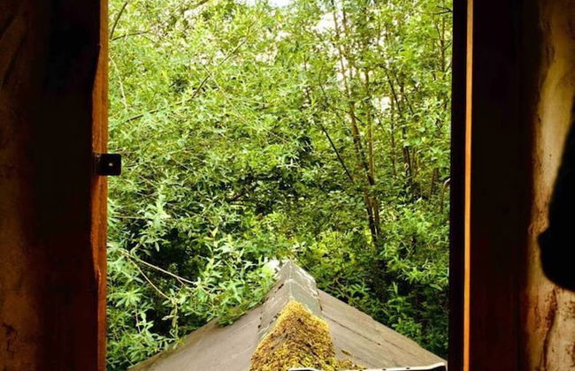 Unique Fairytale Farmhouse Near Galway - Foto 68