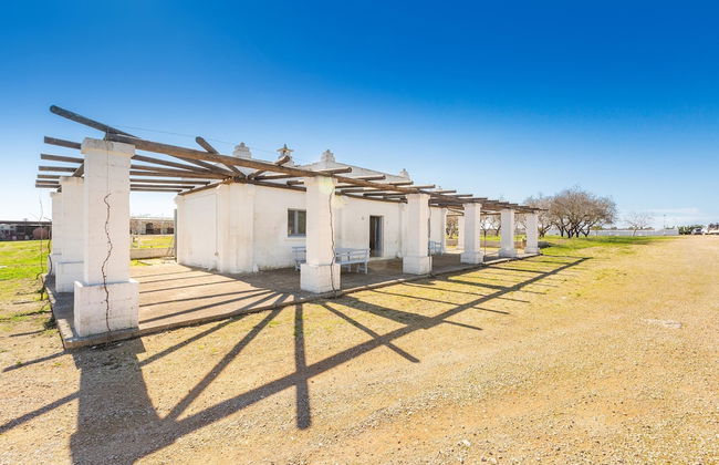 3354 Masseria Pepe - La Casina dei Fichi - Foto 28