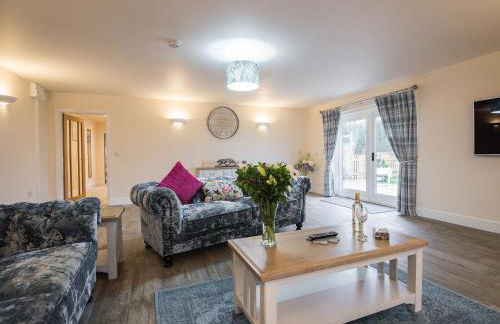 Field View - Ukc2304 - Foto 3