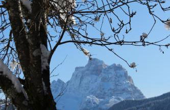 Ospitalità Diffusa Laste Dolomites - Cèsa Murer - Foto 50