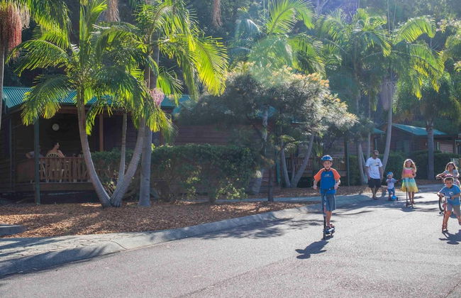 The Palms At Avoca - Photo 33