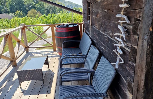 Vineyard cottage Vinska grajska kašča - Foto 53