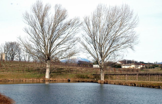 Agriturismo San Leone - Photo 60