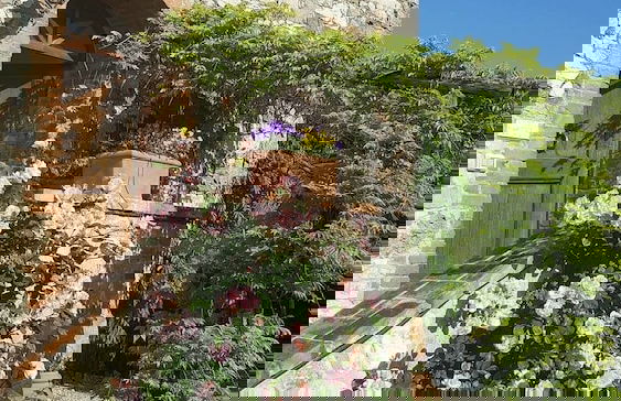 Agriturismo Podere Alberese - Foto 47