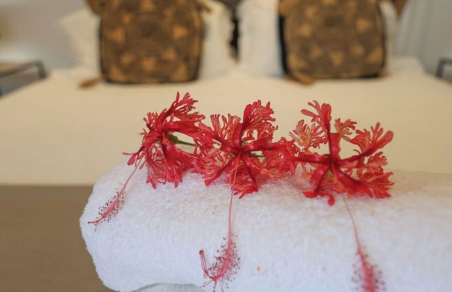 Nakolodge 4 chambres - piscine / balneo / jardin privatifs - Foto 17