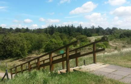 Haus Longholmen - Foto 15