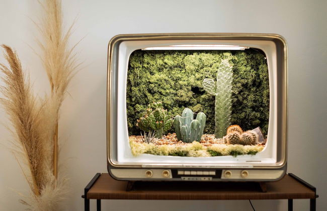 Urban Jungle Apartments - Photo 11