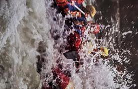 Green House kuća s 4 spavaće sobe - Foto 72