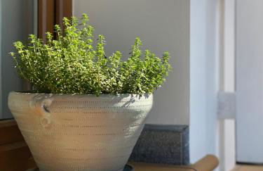 Beachfront House Pythagorion - Foto 14