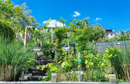 Ferienhaus Heimes - Foto 49