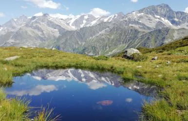 Le Lièvre Blanc, appartement N°2 - Foto 32