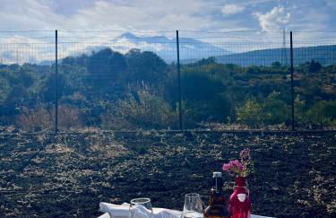 Etna 1928 Country House - Foto 1