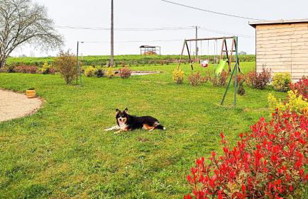 La Pause nature en Périgord - Foto 23