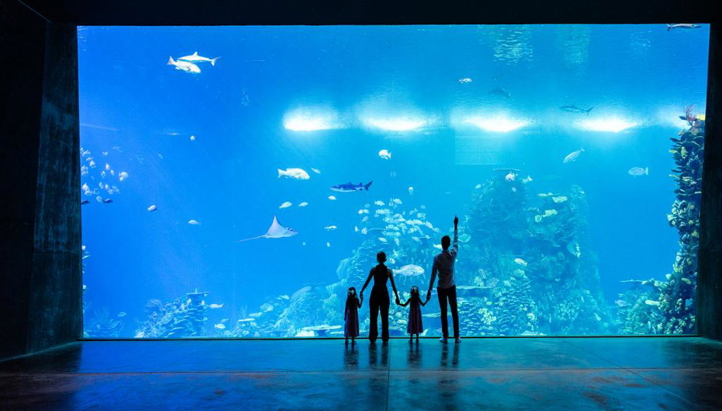 Gran Acuario Mazatlan - Entrada - Foto 1