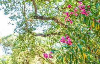 Residence Riva degli Etruschi - Foto 82