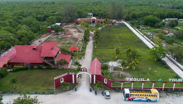 Tour the Tequila Museum