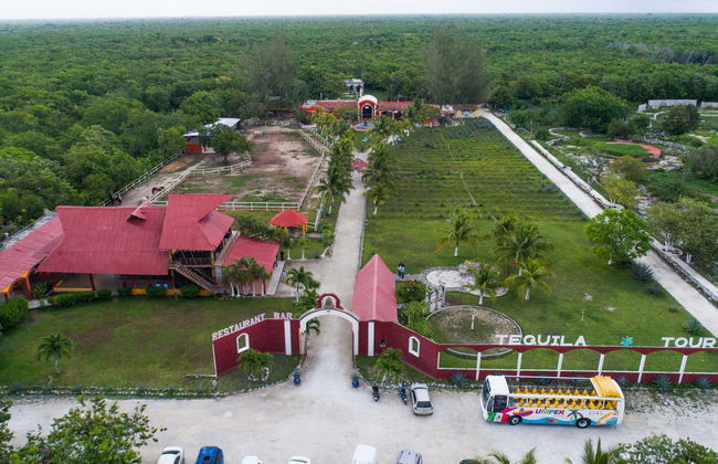 Cozumel Sightseeing Bus - Photo 4
