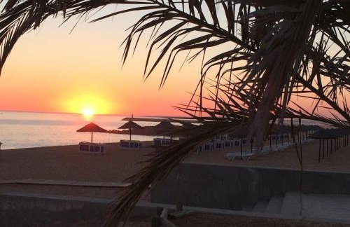 RS Apartamento - Foto 6