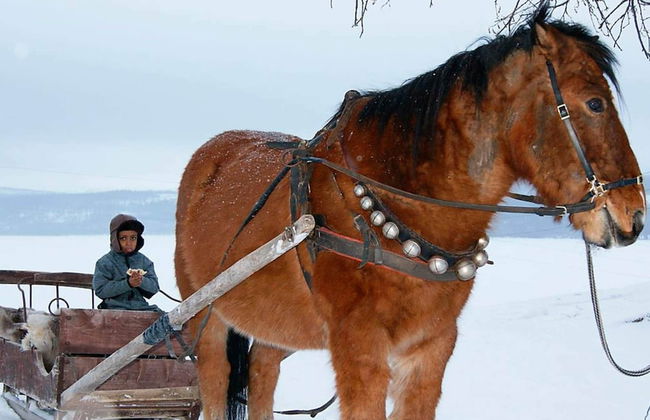 6 Person Holiday Home in Nordli-by Traum - Foto 8