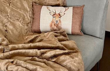 Tannenduft Freudenstadt - Foto 17