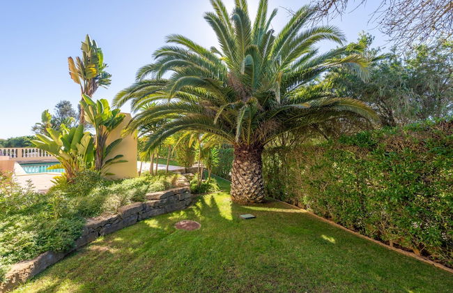 Lote 50 at Boavista Resort Lagos - Photo 44