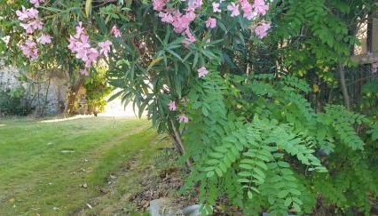 LA PETITE BICOQUE au fond du jardin - Foto 2, Garden view