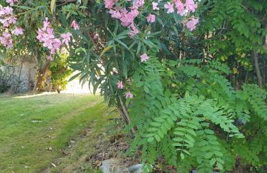 LA PETITE BICOQUE au fond du jardin - Foto 2