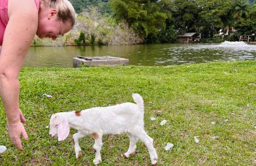 Hospedagem Zilz - Foto 6