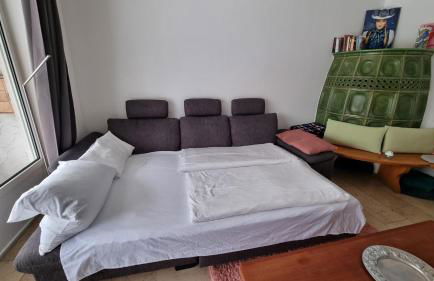 Vogelnescht19 - Foto 14