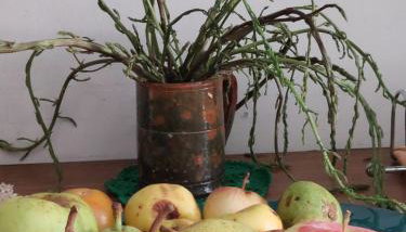 Marcello appartamento XVIII secolo - Foto 4