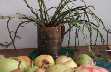 Marcello appartamento XVIII secolo - Foto 4