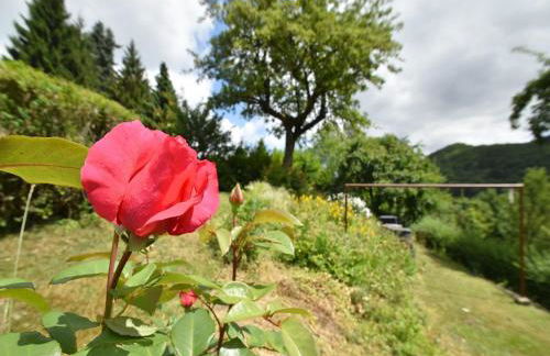 Charmantes Ferienhaus in Deifeld - Foto 76