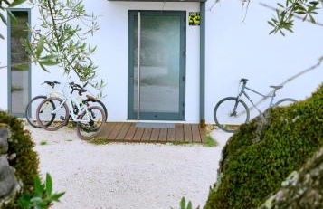 MONTE DA FIFAS Alentejo, Montargil - Foto 22