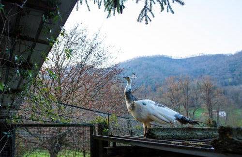 Cascina Canale - Foto 52