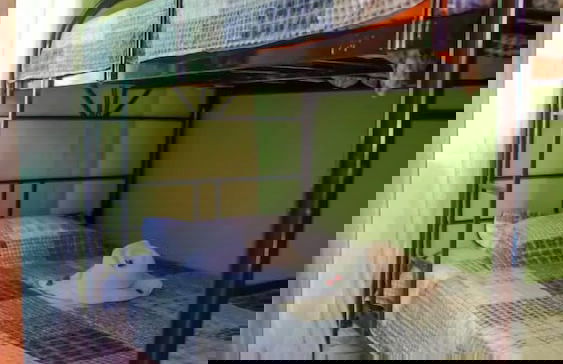 Pura Natura Lodge Arroyo - Foto 36