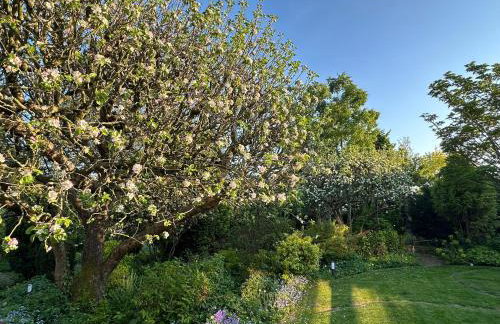 Apple-tree lodge - Foto 41