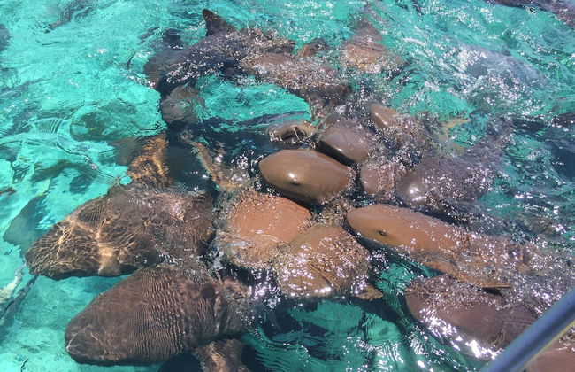 Casa del Rai - Foto 36