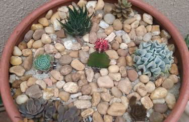 Casa Aconchegante Brisa do Mar - Praia do Foguete - Cabo Frio - Foto 8