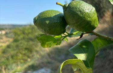 Bed en bubbels bennie en liisa - Foto 22