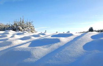 Ferienwohnung GABI - Foto 24