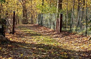 Gîte l'Olivianne - Foto 36