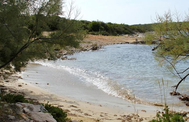Peaceful 2-bedroom Robinson House Orca - Photo 16