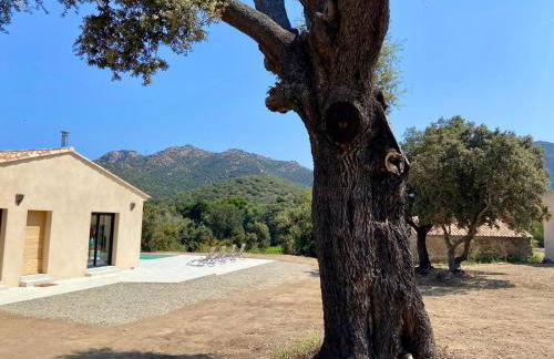 Casa Serena Plage de Lozari 5 kilomètres Ile Rousse 12 kilomètres - Foto 14